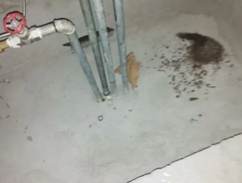 孝感市卫生间测漏水价格明细